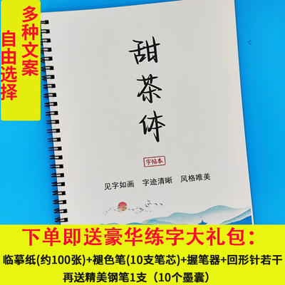 甜茶体女生手写漂亮练字帖经典文案大报金句励志语录硬笔临摹练字
