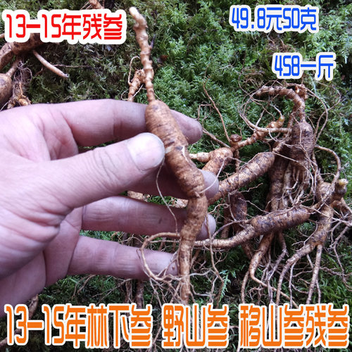 东北长白山15-20年野山参带土新鲜人参林下参移山参残参泡酒包邮 - 封面
