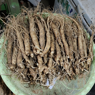 东北特产现挖长白山带土新鲜人参小人参苗泡酒煲汤火锅20棵包邮