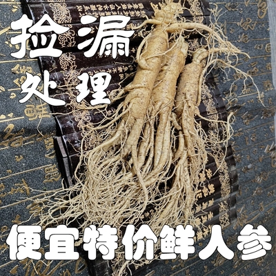 现挖东北吉林长白山保鲜参人参