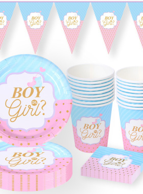 boy or girl性别揭示男孩女孩派对主题纸盘纸巾纸杯装饰party餐具