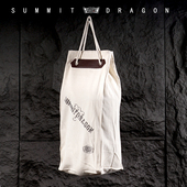 summitdragon拳套收纳袋道鞋 靶具便携手拎包帆布抽拉包信封包