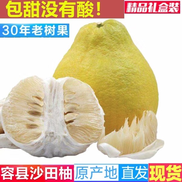 乾隆柚正宗广西容县自良沙田柚