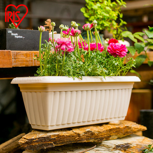 iris加厚塑料长方形爱丽丝仿陶瓷