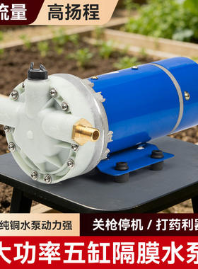 直流电动喷雾器农用高压打药机农药喷洒器喷药神器五缸自吸隔膜泵