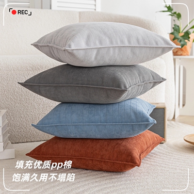 2025新款沙发抱枕套舒适高级感