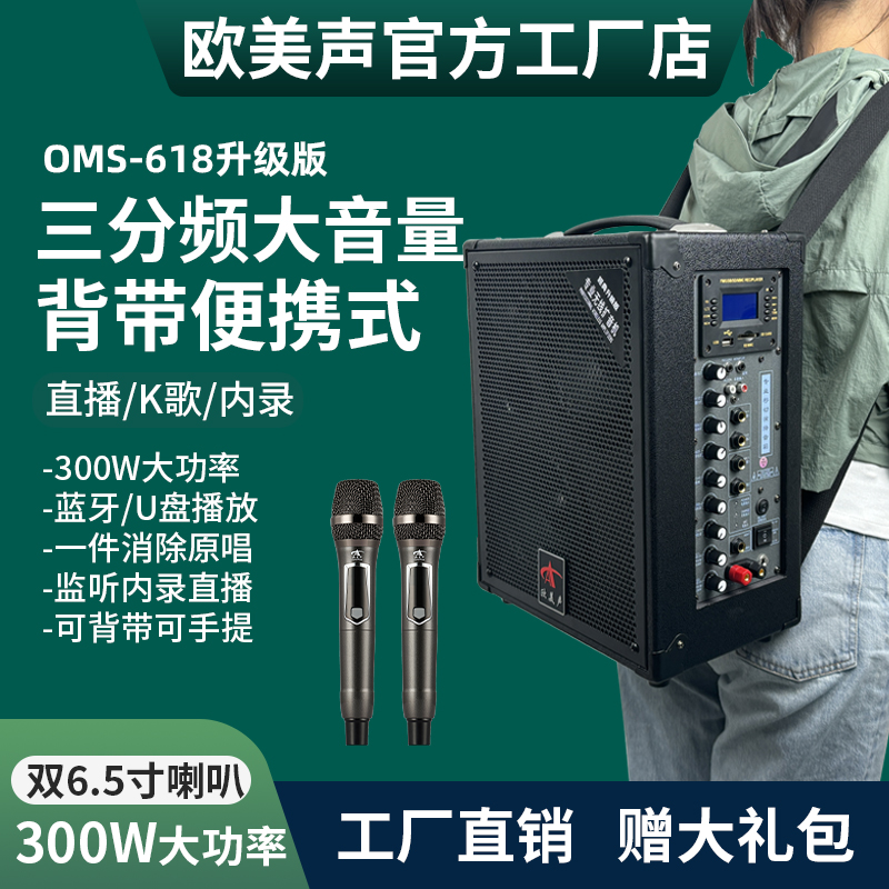 双6寸/三分频/300W/U段话筒/混响/新品促销