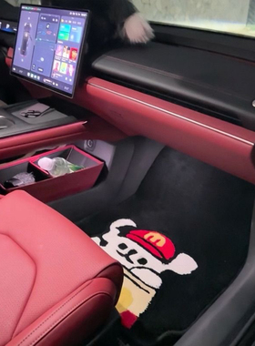 SU7 YU7特斯拉Y换新smart精灵1#3领克mini电车专用麦门卡通脚垫