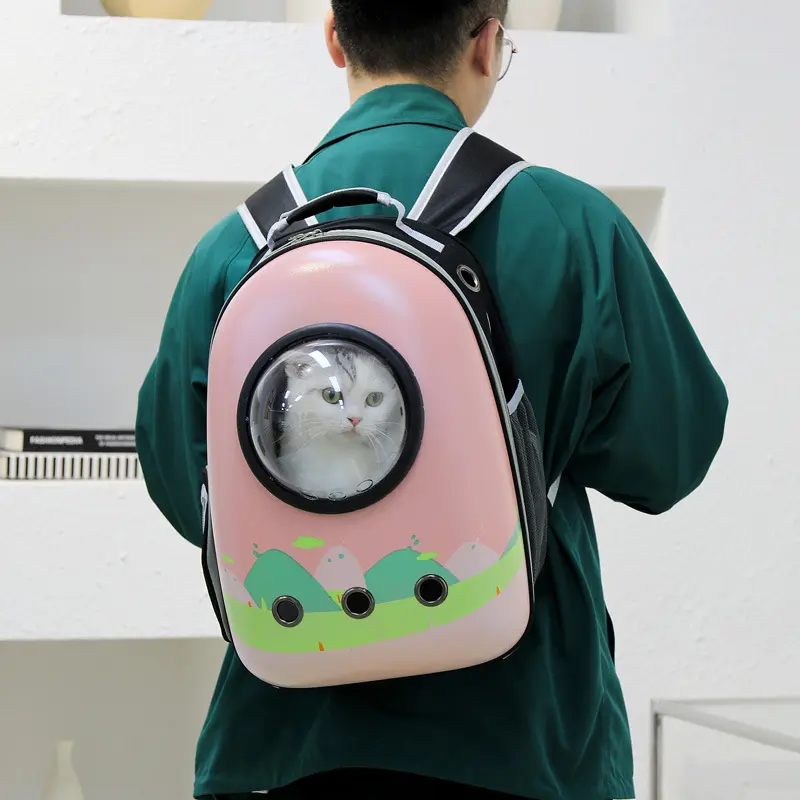 猫包新款外贸宠物包彩色喷涂