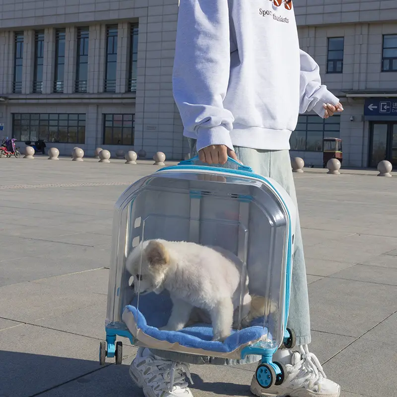 新款宠物拉杆箱透明猫包多用途款