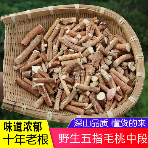 儿童健脾胃汤料包月五指毛桃根