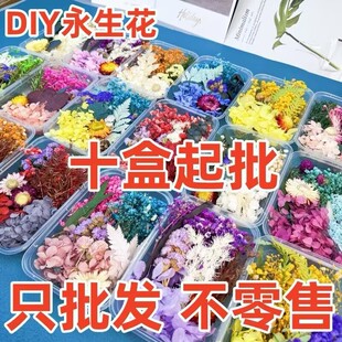 干花永生花DIY压花材料包手工押花相框笔记本手机壳滴胶蜡片贴画