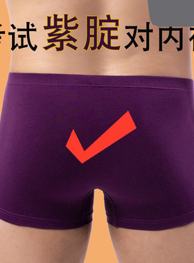 高考男士紫色红色纯棉考试内裤男生考研金榜题名中考逢考必过裤头