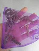 小壁虎守宫宠物开食饲料辅助开食饲料