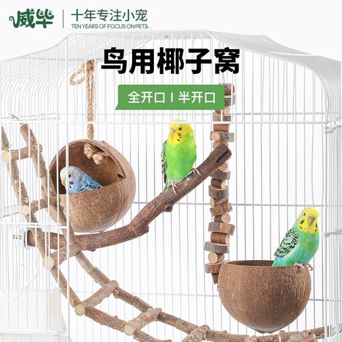 Кокосовая оболочка птичья гнездо гнездо гнездо гнездо гнезд тигр Птица птичья птичья птица Гнездо птичьи игрушки продукты продукты Дом висящий гнездо осень