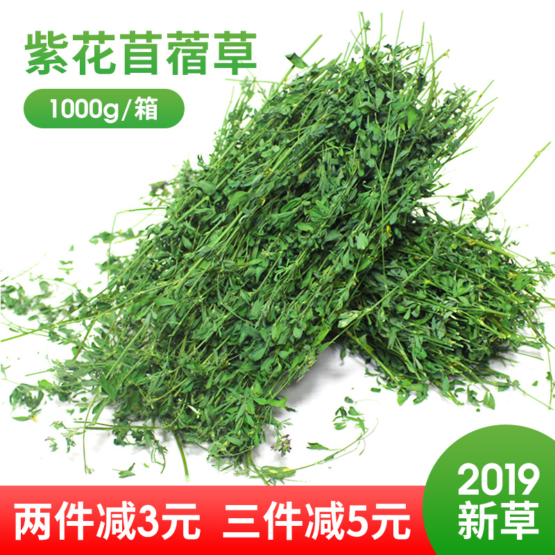 紫花苜蓿草荷兰猪草粮新鲜牧草干草幼兔草粮龙猫粮食饲料食物