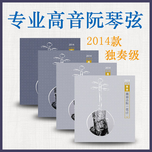 2014专业高音小阮独奏级星海福音