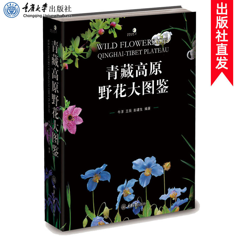 正版包邮 青藏高原野花大图鉴(精装) 牛洋 赏植物和壮美的自然景观 青藏高原野花的识别图鉴 植物花卉识别书籍重庆大学出版社