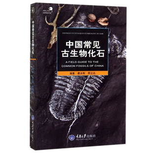 中国常见古生物化石 中国古生物化石群 如何寻找化石 化石的收藏与保管 常见化石 古生物化石群 古生物爱好者书籍 重庆大学出版社