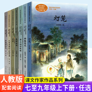 带上她的眼睛驿路梨花七年级下册2本套 八年级下册灯笼 中学生语文书课文配套阅读作家系列