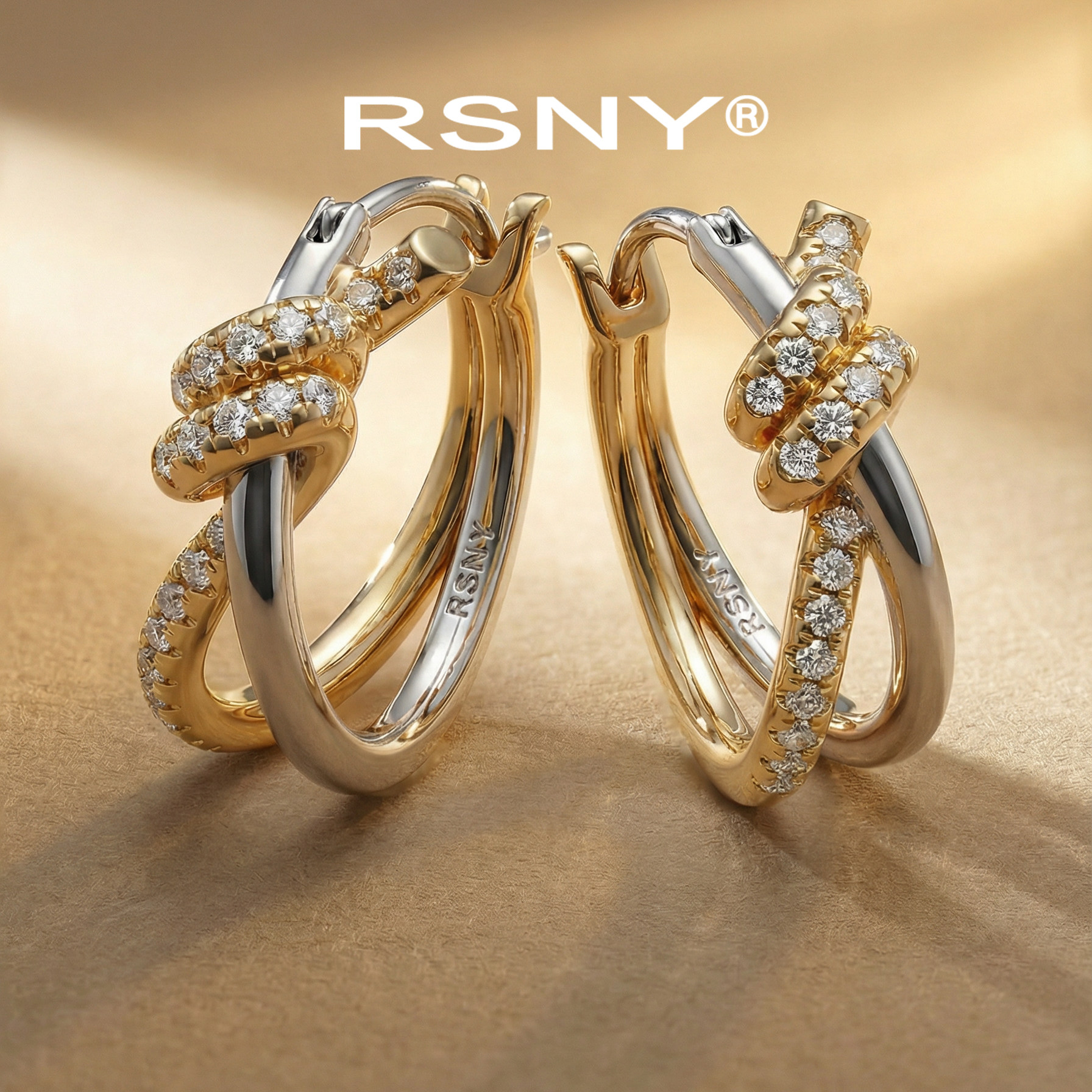 [新品]RSNY甜蜜缠绕双色耳环精致通勤百搭闪耀双环交织轻奢耳饰