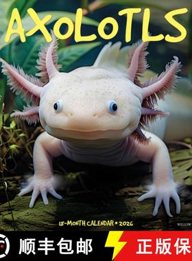 【3-4周达】Axolotls 2026 12 X 12 Wall Calendar [9781549249990]