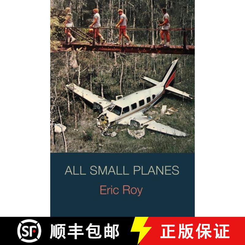 预订 All Small Planes [9781736599006]