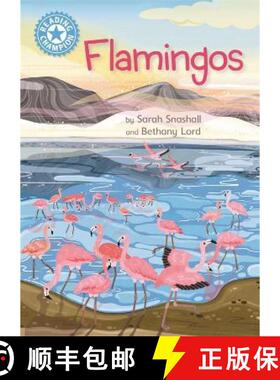 【3-4周达】Reading Champion: Flamingos: Independent Reading Non-Fiction Blue 4 [9781445175850]