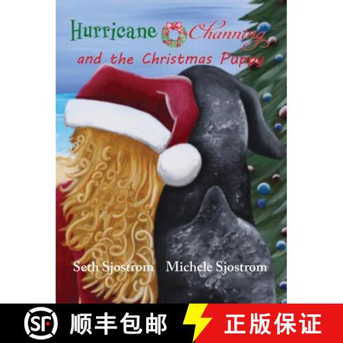 【3-4周达】精装 Hurricane Channing and the Christmas Puppy [9781960501332]