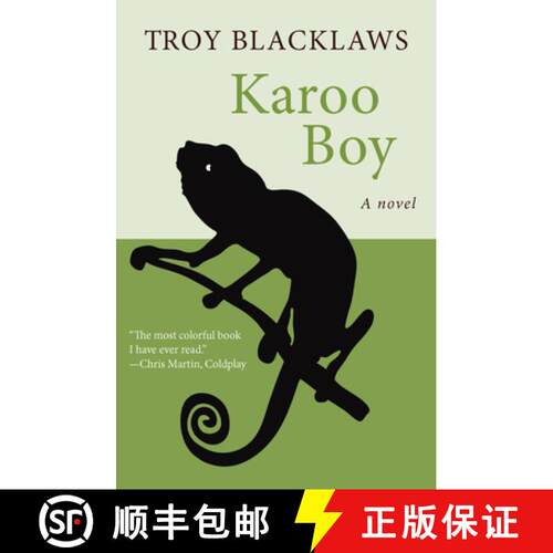 【3-4周达】Karoo Boy : A Novel [9781480417823]