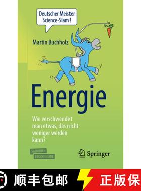 【3-4周达】Energie - Wie Verschwendet Man Etwas, Das Nicht Weniger Werden Kann? [9783662567715]