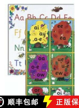 【3-4周达】Jolly Phonics Alternative Spelling & Alphabet Posters : in Precursive Letters (British Eng... [9781903619124]