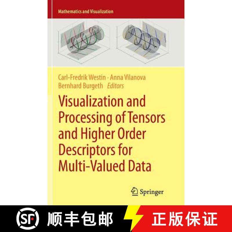 【3-4周达】Visualization and Processing of Tensors and Higher Order Descriptors for Multi-Valued Data [9783662512579]