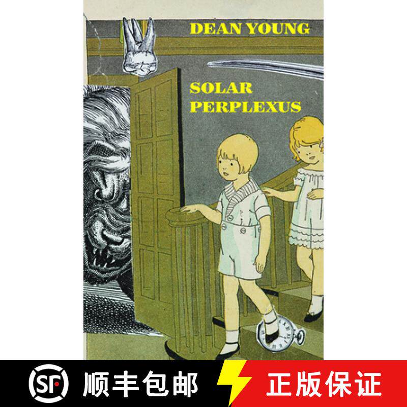 【3-4周达】精装 Solar Perplexus [9781556595721]