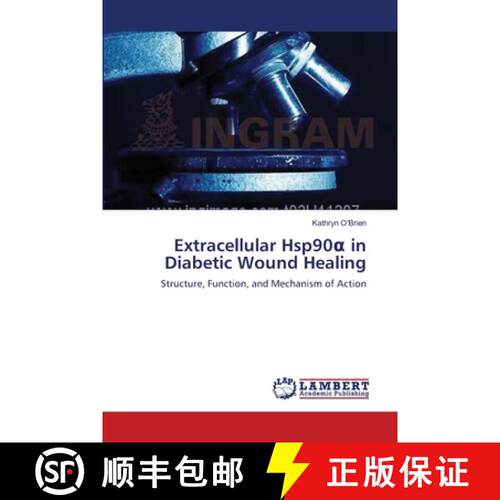 预订 Extracellular Hsp90α in Diabetic Wound Healing [9783659634543]