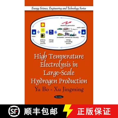 【3-4周达】High Temperature Electrolysis in Large-Scale Hydrogen Production [9781616682972]