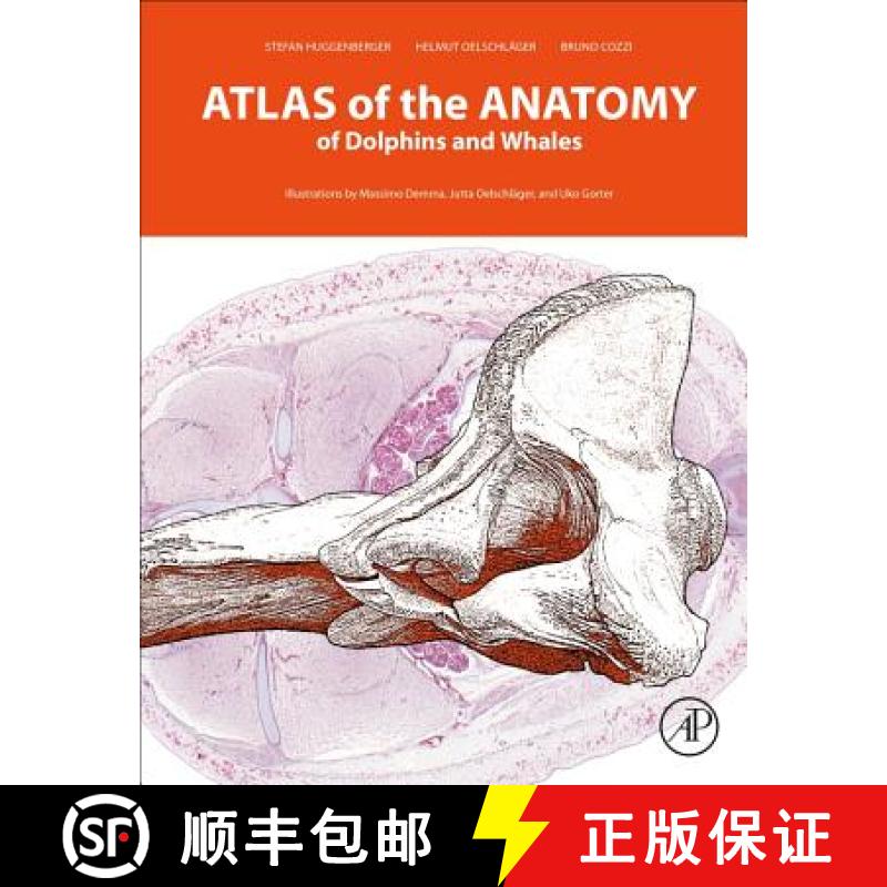【3-4周达】Atlas of the Anatomy of Dolphins and Whales [9780128024461]
