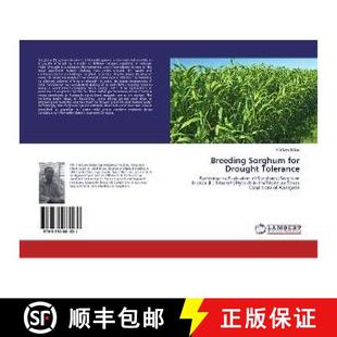 for Sorghum Drought Tolerance 预订 9783330081031 Breeding