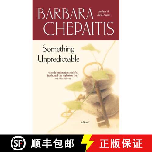 【3-4周达】Something Unpredictable: A Novel [9780743437530]