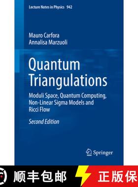 【3-4周达】Quantum Triangulations: Moduli Space, Quantum Computing, Non-Linear SIGMA Models and Ricci... [9783319679365]