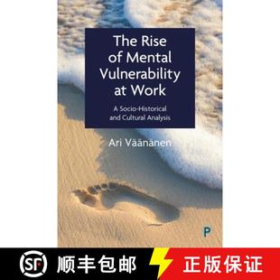 Mental and Vulnerability The Cultural Historical Analysis Rise Socio 4周达 9781447359432 Work