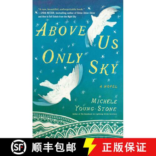 【3-4周达】Above Us Only Sky: A Novel [9781451657685]