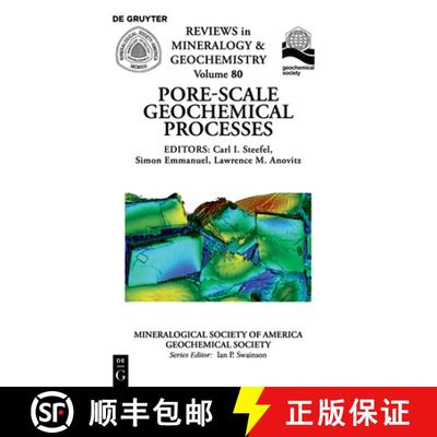 【4周达】Pore Scale Geochemical Processes [9780939950966]