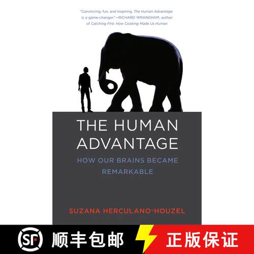 【3-4周达】The Human Advantage – How Our Brains Became Remarkable [9780262533539]
