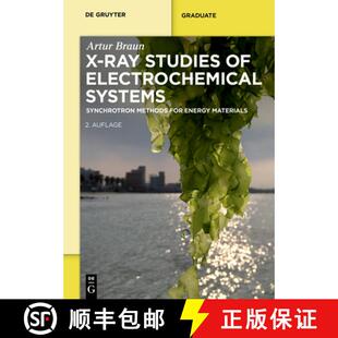 【3-4周达】X-Ray Studies on Electrochemical Systems: Synchrotron Methods for Energy Materials [9783110437508]
