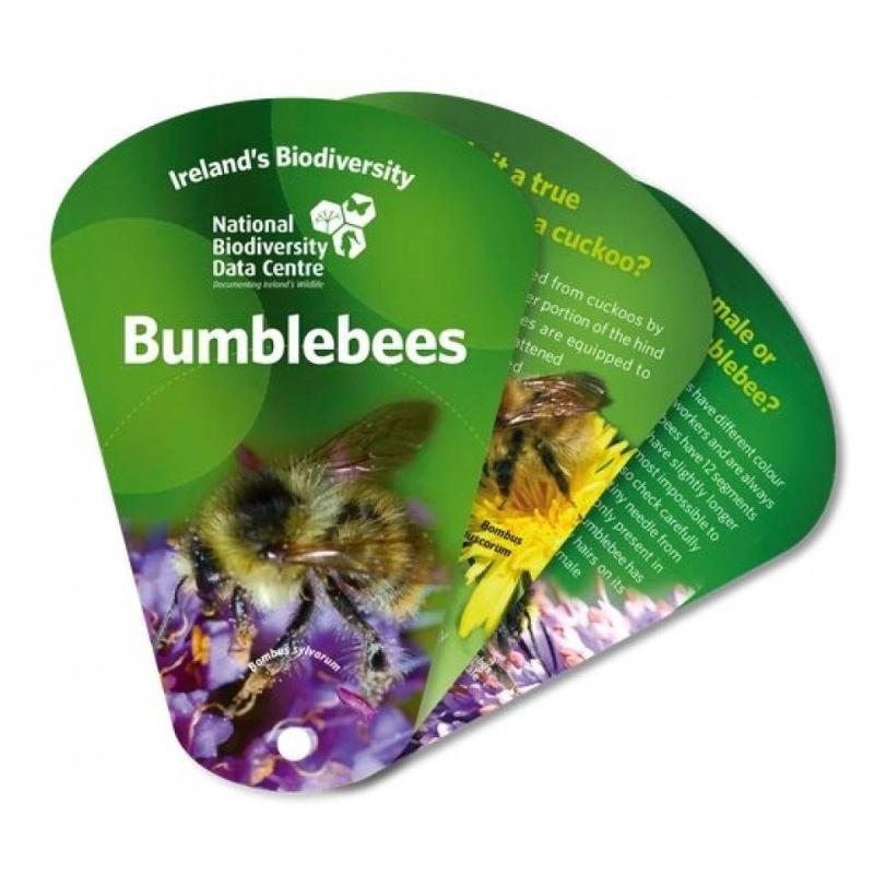 【4周达】Ireland's Biodiversity: Bumblebees(Edition: 2)(Edition: 2)(Edition: 2)[9781911172031]-封面