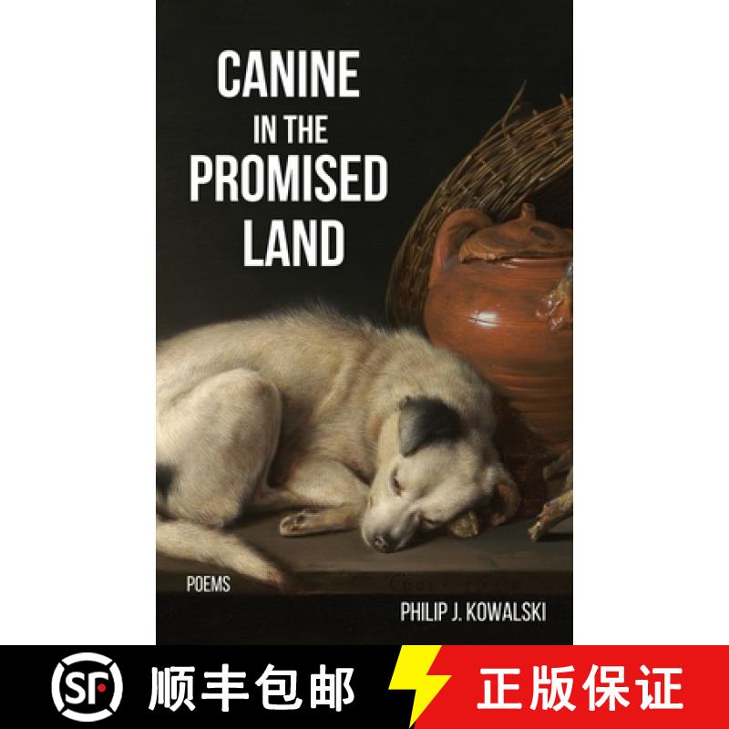 【2-3周达】Canine in the Promised Land [9781636495774]
