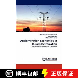 【3-4周达】Agglomeration Economies in Rural Electrification [9783843364584]