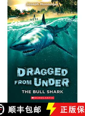 The Bull Shark (Dragged from Under #1): Volume 1 [9781338587661]