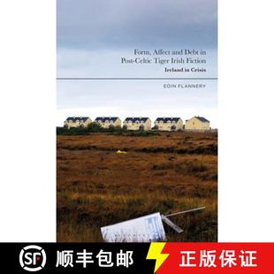 Debt Celtic Form and Crisis 预订 Ireland Affect Irish Tiger Post 9781350302204 Fiction